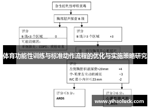 体育功能性训练与标准动作流程的优化与实施策略研究